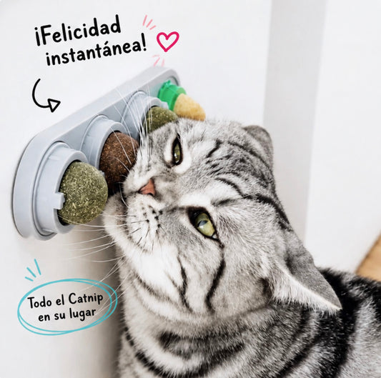 Catnip plegable