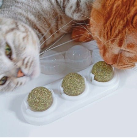 Catnip plegable Para Gatos - Rukal
