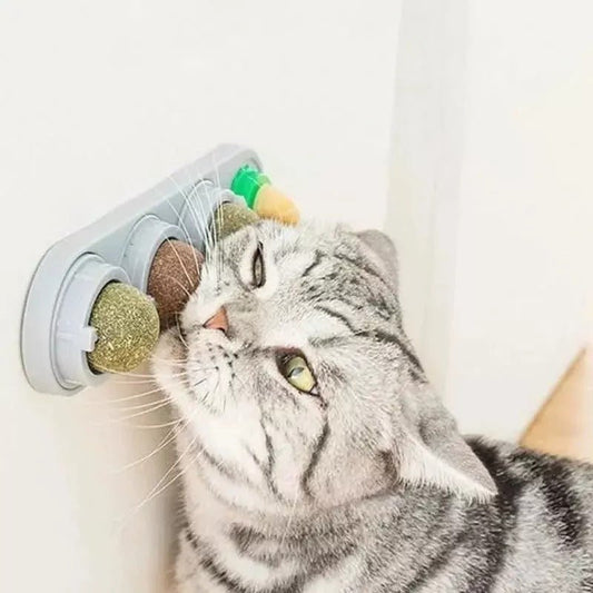 Catnip plegable Para Gatos - Rukal