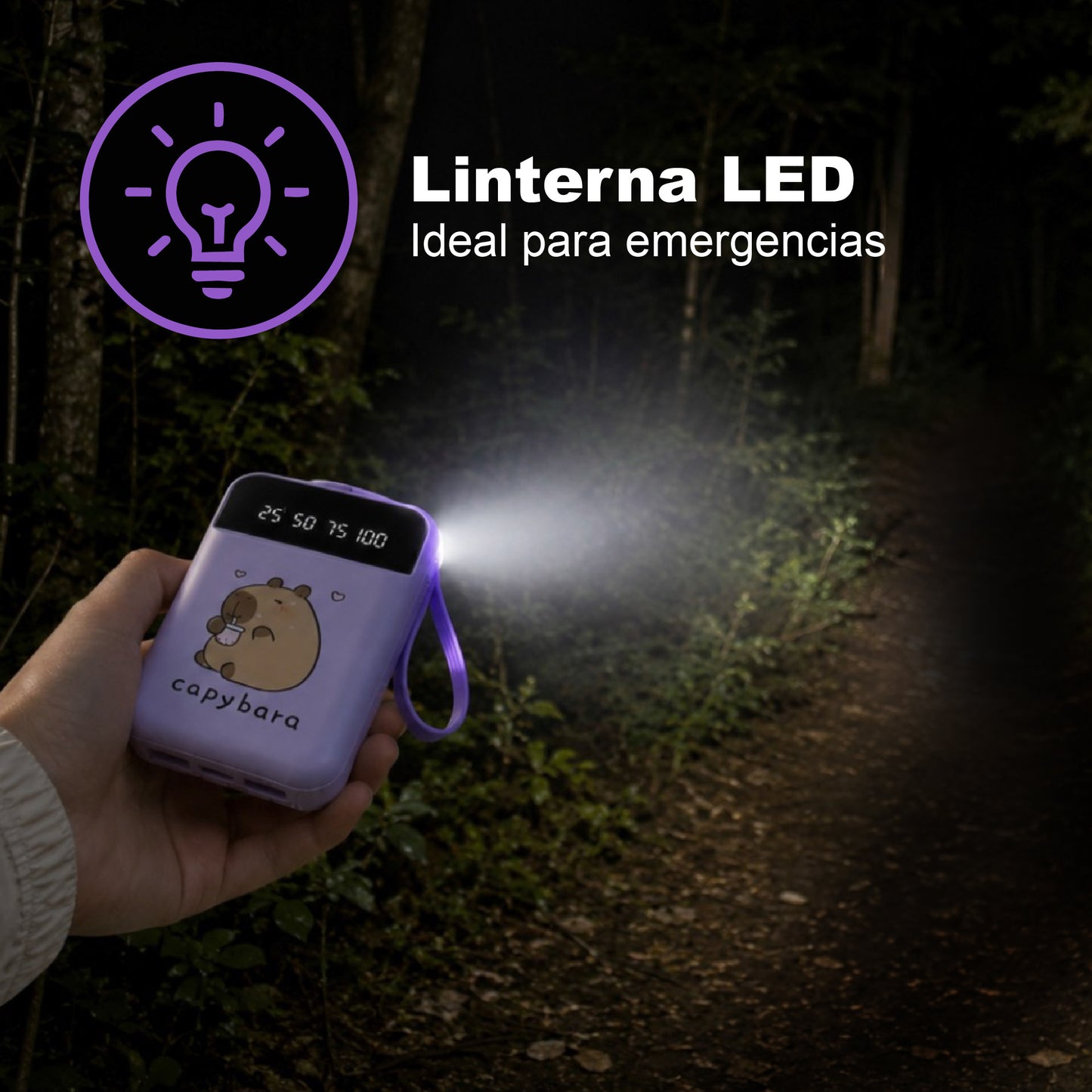 Banco de energía / Linterna