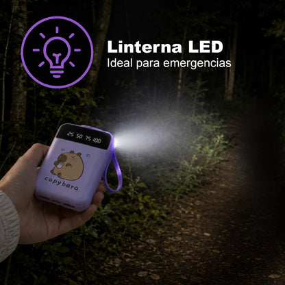 Banco de energía / Linterna